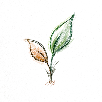 芽吹く双葉のイラスト